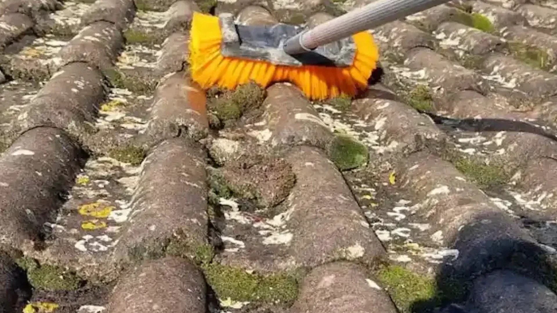 Retrait de mousse sur une toiture en tuiles